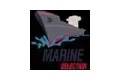 Marine Selection